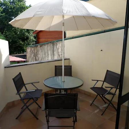 Tulipa Do ジェレス