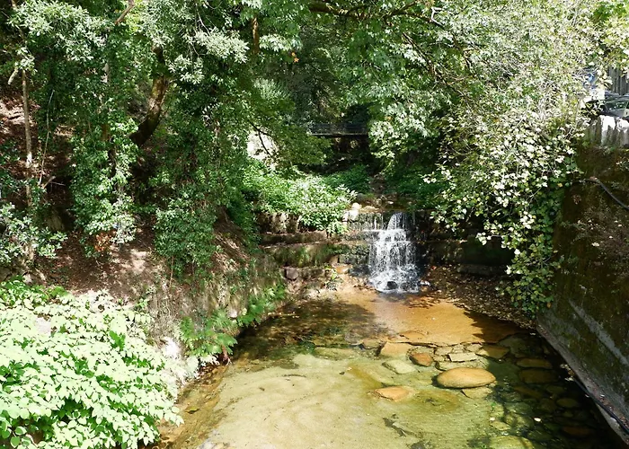 아파트 Tulipa Do *